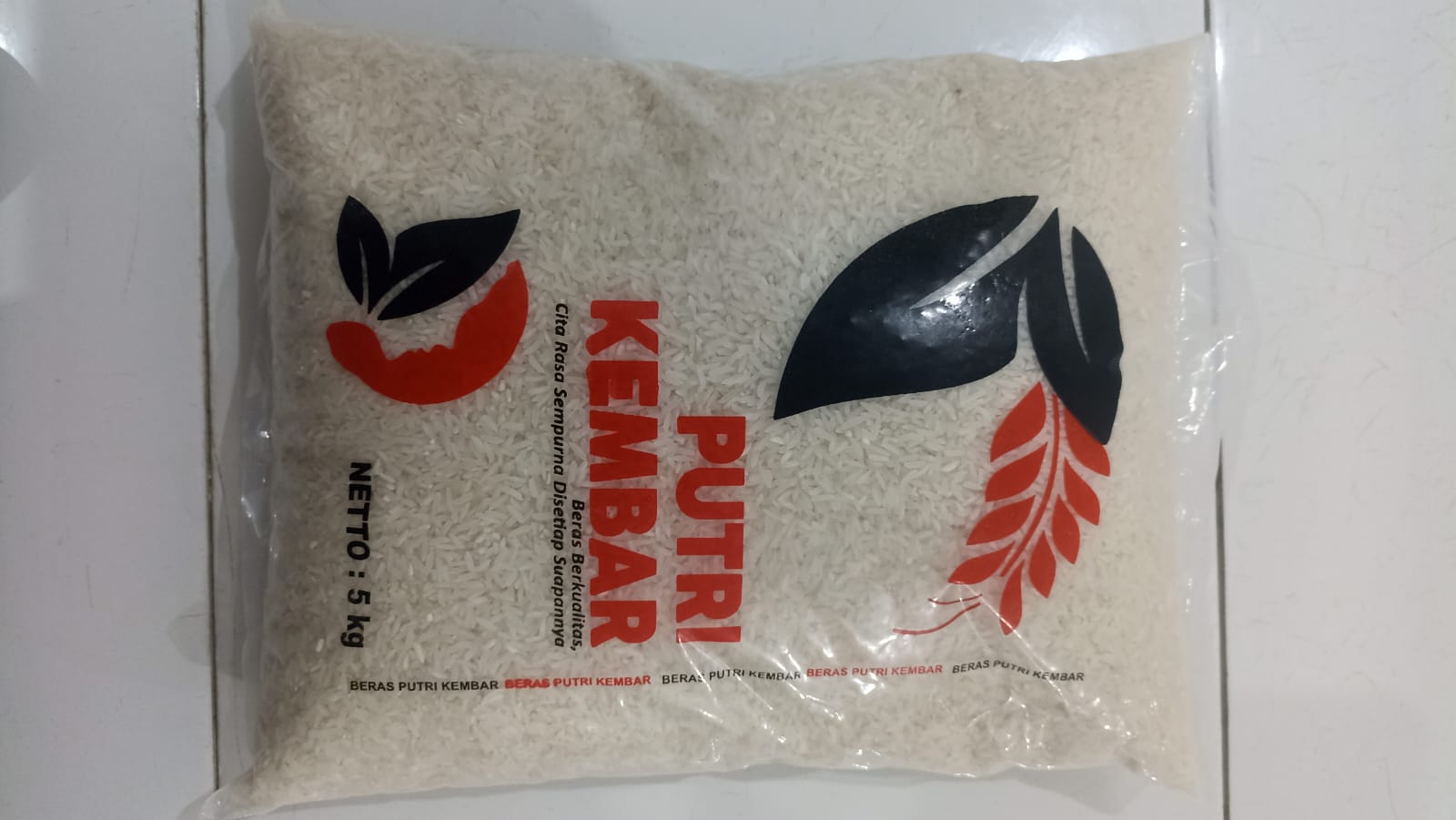 PUTRI KEMBAR